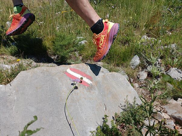 Muške tenisice za trčanje Hoka M Speedgoat 6 - međupotplat