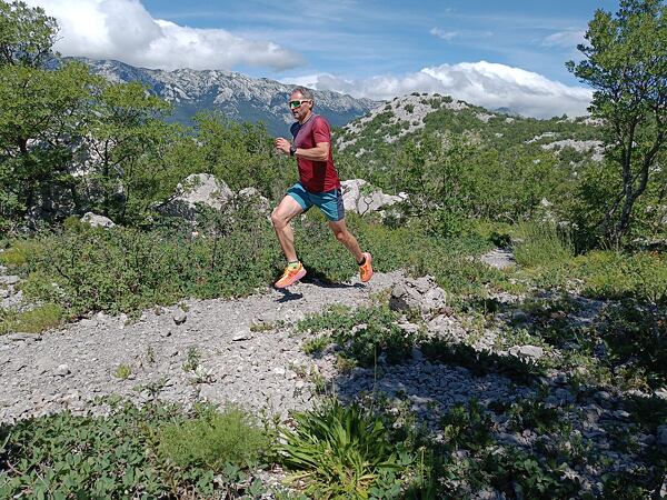 Muške tenisice za trčanje Hoka M Speedgoat 6 
